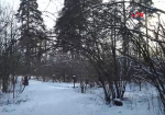 Воронежский заповедник перейдёт на зимний режим работы