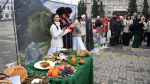 «Славяне, Кавказ и Восток». Фестиваль «Воронеж многонациональный» собрал представителей 12 народов