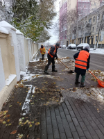 Воронеж засыпало первым снегом: коммунальщики вышли на борьбу с непогодой