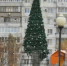 Первую новогоднюю ёлку начали возводить в Воронеже - Bloknot-Voronezh.Ru