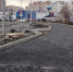 В Коминтерновском районе Воронежа дополнительно высадят 500 деревьев - РИА Воронеж
