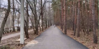 Мэр Воронежа рассказал судьбе парка «Танаис» - ВестиПК в Воронеже