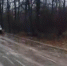 Уличный каток внезапно появился в Воронеже, но ему никто не рад - Bloknot-Voronezh.Ru
