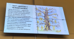 Итоги учебно-методической конференции «Особенности организации профилактической работы со школьниками»