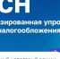 Воронежская область вводит новый специальный налоговый режим - Департамент экономического развития