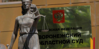 В Воронеже суд отправил криминального авторитета в колонию особого режима на 9 лет - РИА Воронеж