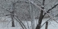 Вражеские беспилотники сбили в Воронежской области - Bloknot-Voronezh.Ru