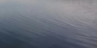 Воронежцев предупредили об опасности выхода на лед водохранилища - Комсомольская Правда