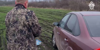 Появилось видео из лесополосы, в которой нашли тело подозреваемого в жутком двойном убийстве - МОЁ! Online