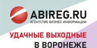 Новогодние каникулы – удачные выходные в Воронеже - Abireg.Ru