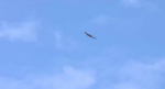 В сети появилось видео с одним из беспилотников, летевших над Воронежем