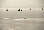 Выяснилось, сколько воронежцев опробовали лёд водохранилища на праздничных выходных