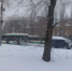 В Воронеже точечно корректируют графики движения автобусов - Комсомольская Правда