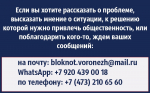 «Меня поставили перед выбором»: жительница Воронежа обратилась к председателю Госдумы Володину