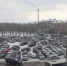 Организованную парковку оборудуют напротив авиазавода в Воронеже - Обозреватель.Врн