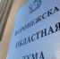 Воронежская областная Дума приняла поправки в региональное избирательное законодательство - Избирательная комиссия