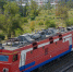 Девять вагонов сошли с рельс в Воронежской области - Bloknot-Voronezh.Ru