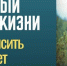 Интернет-проект «Вестник ЗОЖ». Здоровый образ жизни – условие для крепкого иммунитета - Медицинский Университет им. Н.Н. Бурденко
