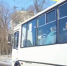 Недопустимый поступок маршрутчика попал на видео в Воронеже - Bloknot-Voronezh.Ru