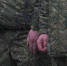В Воронеже задержали 33-летнего агента украинской разведки - ГТРК Воронеж