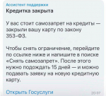 Мошенники активизировались после введения сервиса самозапрета на кредиты в Воронежской области