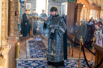 В пятницу первой седмицы Великого поста Правящий Архиерей возглавил богослужение в Сергиевском храме г. Воронежа