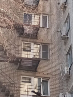 К устранению последствий падения обломков сбитого БПЛА приступили в Воронеже