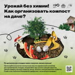 Рассказываем о Российском экологическом операторе фото 3