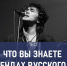 На эти вопросы ответят только настоящие знатоки русского рока - TV-Gubernia.Ru