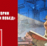 2-19 - КПРФ