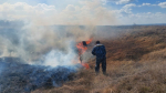 Животные и краснокнижные растения погибли при пожаре в воронежском Дивногорье
