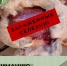 Воронежских охотников предупредили о кишащих паразитами диких птицах - ГТРК Воронеж
