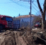 Зеленый геноцид объяснили в администрации Воронежа - Bloknot-Voronezh.Ru
