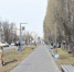 В Воронеже продолжаются мероприятия по уборке в городе - Городская справка 077