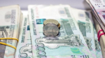 Пенсионерку из Воронежской области задержали в Киргизии за мошенничество спустя 19 лет