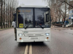 Автобус №90 насмерть сбил пенсионерку в Воронеже