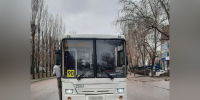 В Воронеже маршрутка задавила переходившую дорогу пенсионерку - TV-Gubernia.Ru