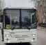 В Воронеже автобус №90 сбил насмерть пенсионерку - ГТРК Воронеж