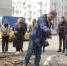 «Нам предстоит немалая работа по организации газонов». Мэр Сергей Петрин призвал воронежцев бережно относиться к зелёным площадкам - TV-Gubernia.Ru
