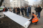 Мэр Воронежа рассказал как будут восстанавливать газоны