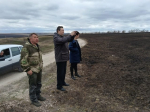 Крупный пожар в Дивногорье уничтожил уникальные растения и животных