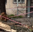 Из-за треснувшего дерева коммунальщики заблокировали воронежцам путь домой - Bloknot-Voronezh.Ru