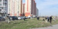 Команда ДСК первая приняла участие в месячнике благоустройства - МОЁ! Online