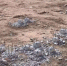 На опасный недострой за 187 млн пожаловались президенту РФ жители воронежского Борисоглебска - Обозреватель.Врн