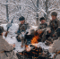Воронежский проект поможет закрыть пробелы исторических знаний у поколения «альфа» - МОЁ! Online
