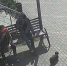 Жестокие издевательства над щенком попали на видео в Воронеже - РИА Воронеж