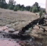 Неизвестные сливали чёрную жидкость на сельхозтерритории в Воронежской области - МОЁ! Online