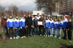 В Воронеже прошёл общегородской субботник