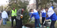 Общегородской субботник прошел во всех районах Воронежа - Обозреватель.Врн