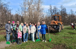 Сотрудники МКК ФРПВО и ГФВО приняли участие в общегородском субботнике